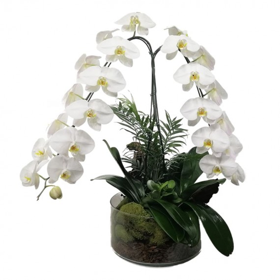 Large White Orchid Phalaenopsis Arrangement Waterfall in Glass Vase