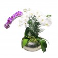 Arranjo Grande com 3 vasos de Orquídeas plantada em Vaso de Alumínio