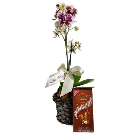 Mini Orchids Planted Yellow and Purple Affection and Chocolate Bar Lindt Hazelnut