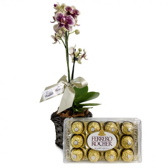 Mini Orchids Planted Yellow and Purple Affection and Ferrero Rocher G