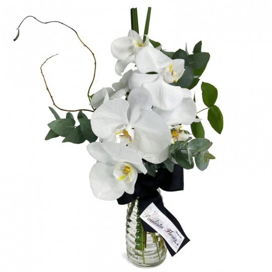 Arranjo de Orquídeas Brancas Love