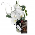 Arrangement of Love White Orchids and Lindt Swiss Dark Chocolate Bar