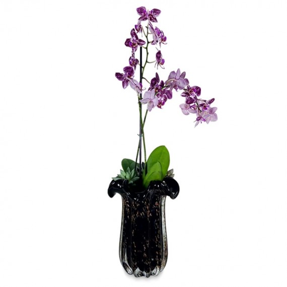 Medium Orchid in Glass Vase I