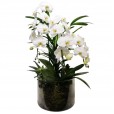 Vaso Cascata com 03 Orquídeas Brancas