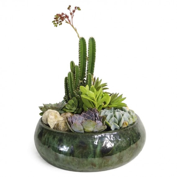 Terrário em Vaso Vietnamita Joyful