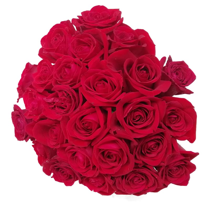 Rustic Bouquet with 25 Colombian Roses
